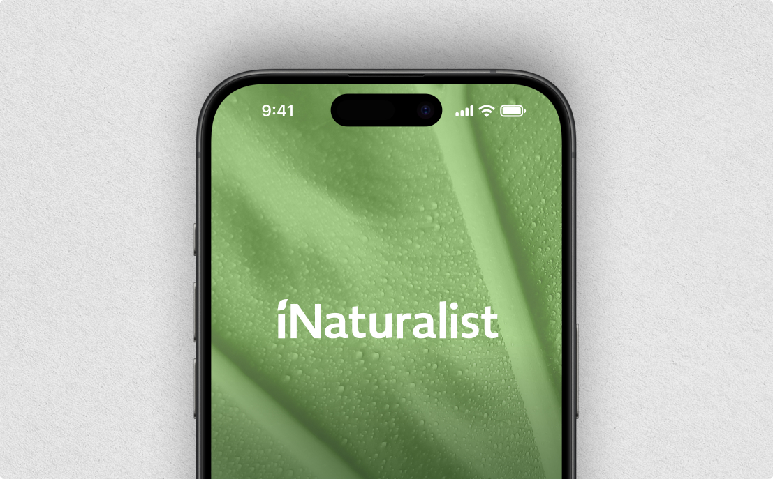 iNaturalist