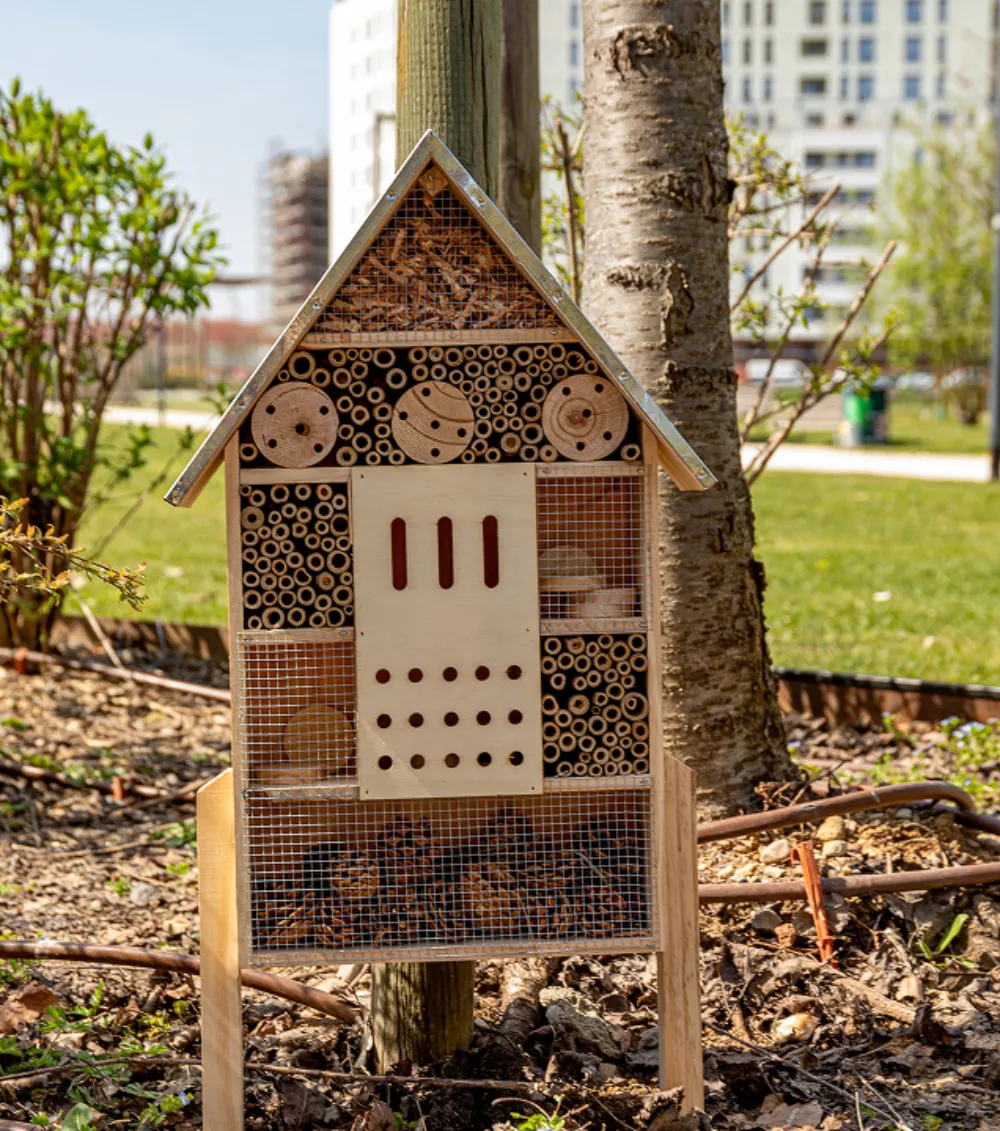Informazione sull'insect hotel